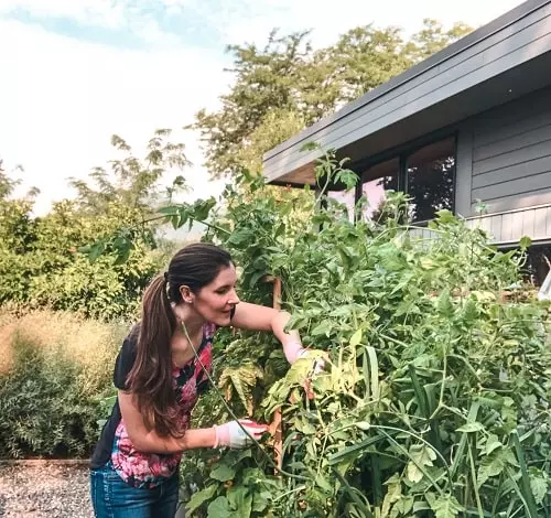 faire son premier potager