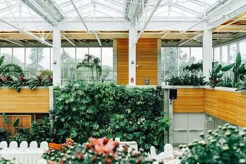 fabriquer un mur vegetal