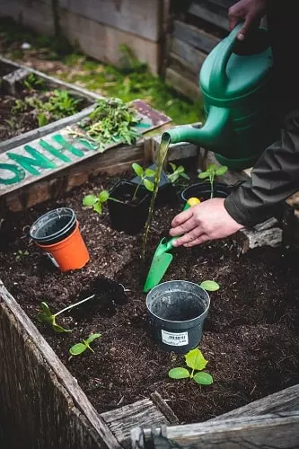 trouver une table de jardinage en bois