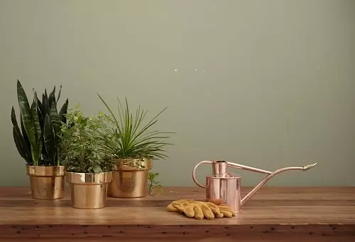 Trouvez une table de rempotage