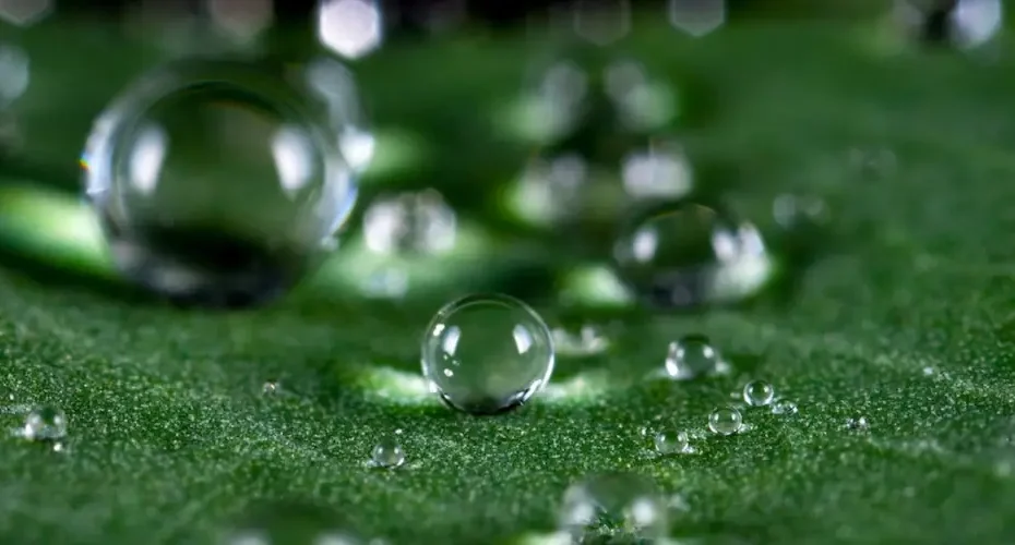 cuve de récupération d'eau de pluie enterrée
