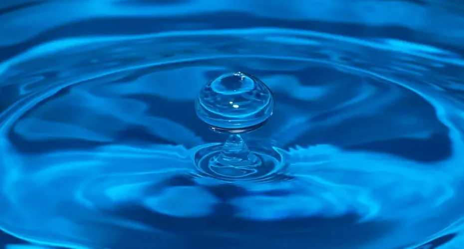récupérateur d'eau de pluie 1000 litres
