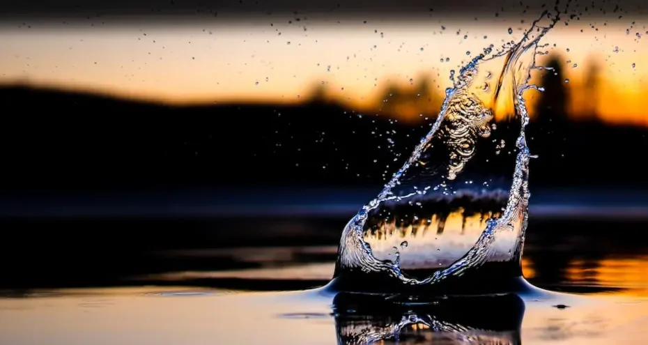 récupérateur d'eau de pluie de 1000L.